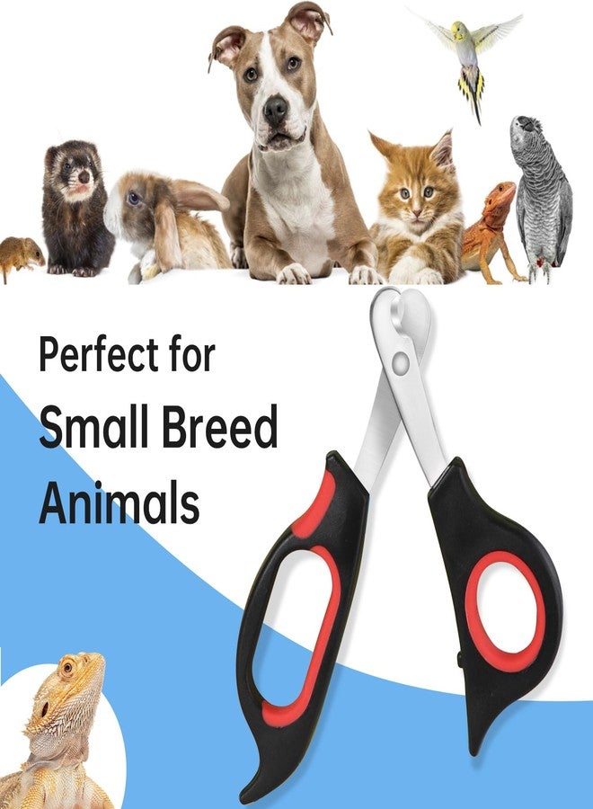 KEUYE Bearded Dragon Nail Clippers,Stainless Steel Bearded Dragon Toe Nail Clippers with Precise Angled Edges (Reddish Black) - Image 4